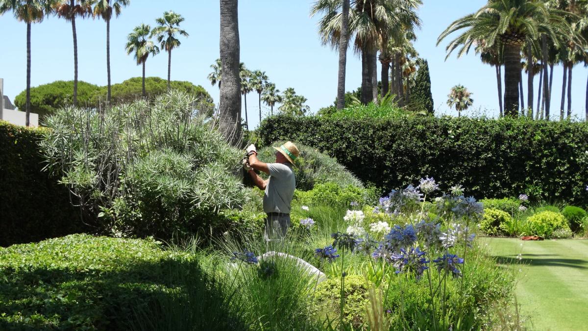 Jardinero revisando los arbustos en flor